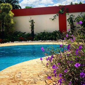 حمّام سباحة خارجي