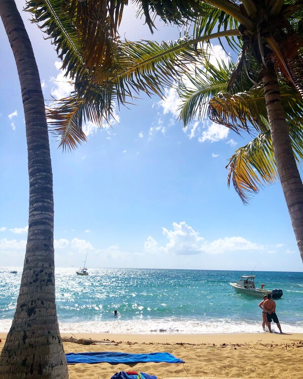 على الشاطئ، كراسي للتشمس، مناشف للشاطئ