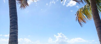 Casa Ariella salt water pool outdoor gazebo near the beach with Backup Generator