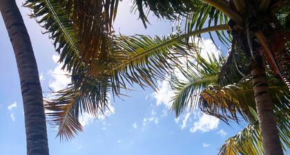 Casa Ariella salt water pool outdoor gazebo near the beach with Backup Generator