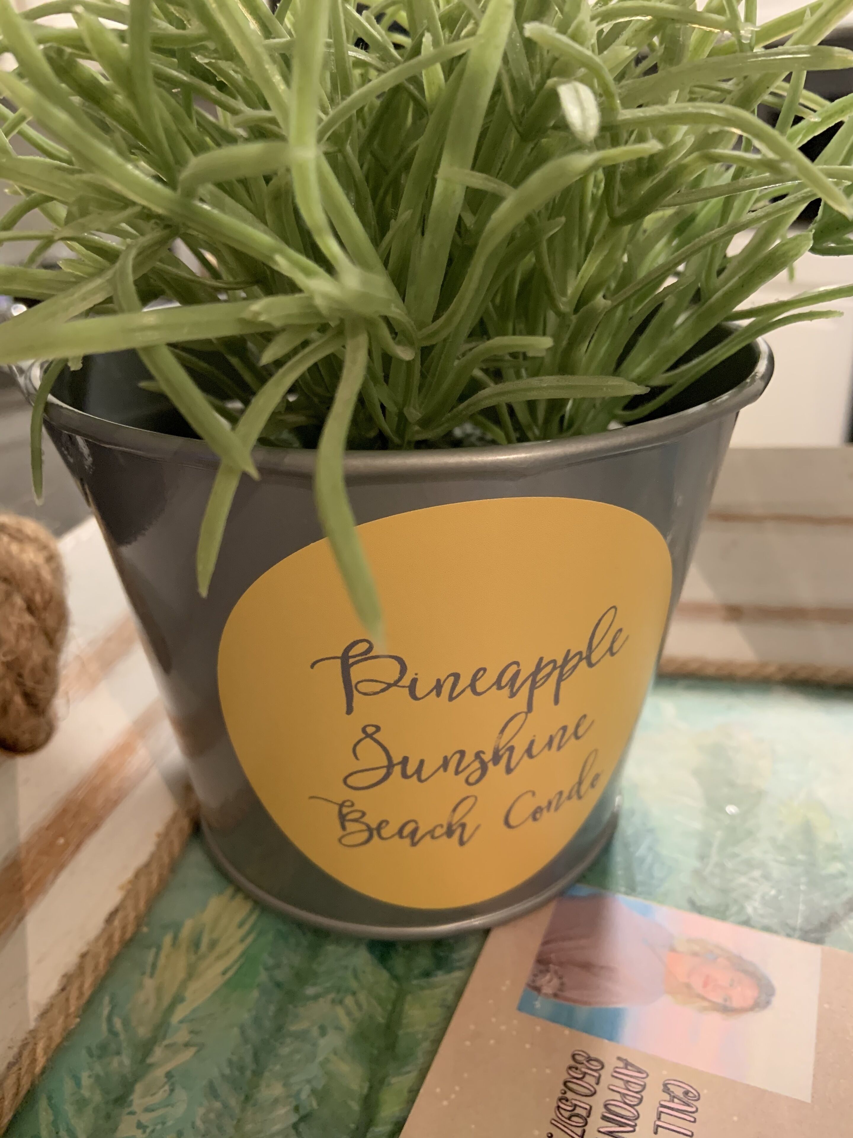 A potted plant with a label that reads "Pineapple Sunshine Beach Candles."