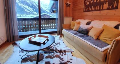 Apartment 4/6 people in Chamonix - Parking and Mont Blanc view
