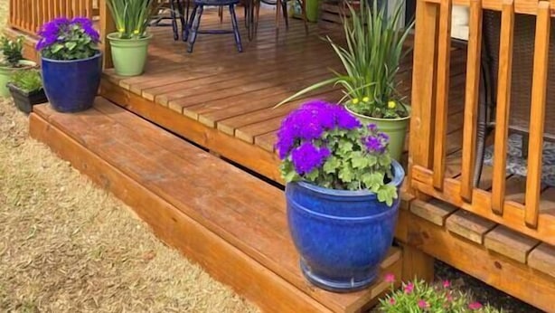 Une terrasse en bois avec une table et des chaises, entourée de plantes en pot.