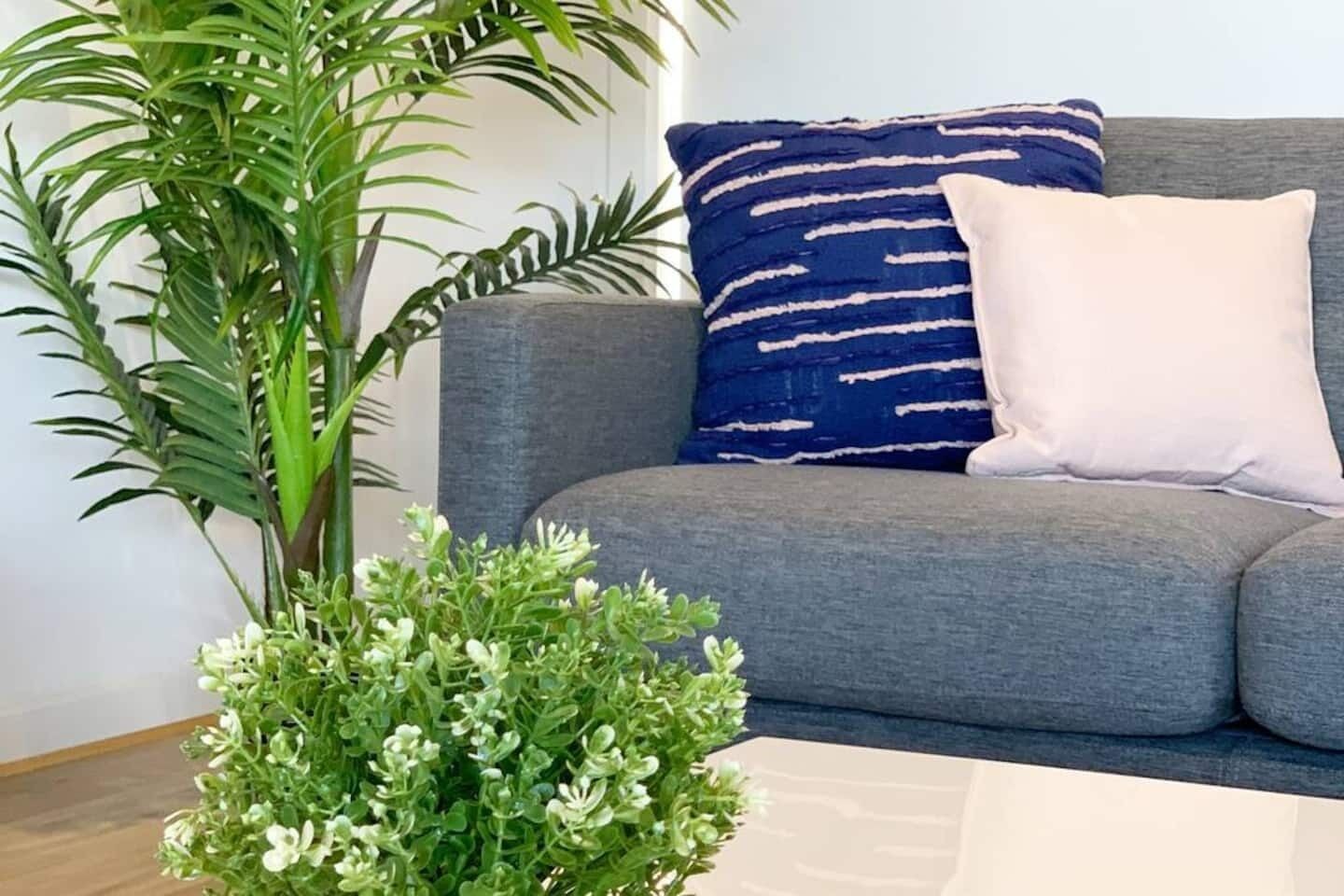 Smart TV, video game console, streaming services, offices