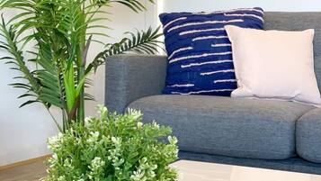 Smart TV, video-game console, streaming services, offices