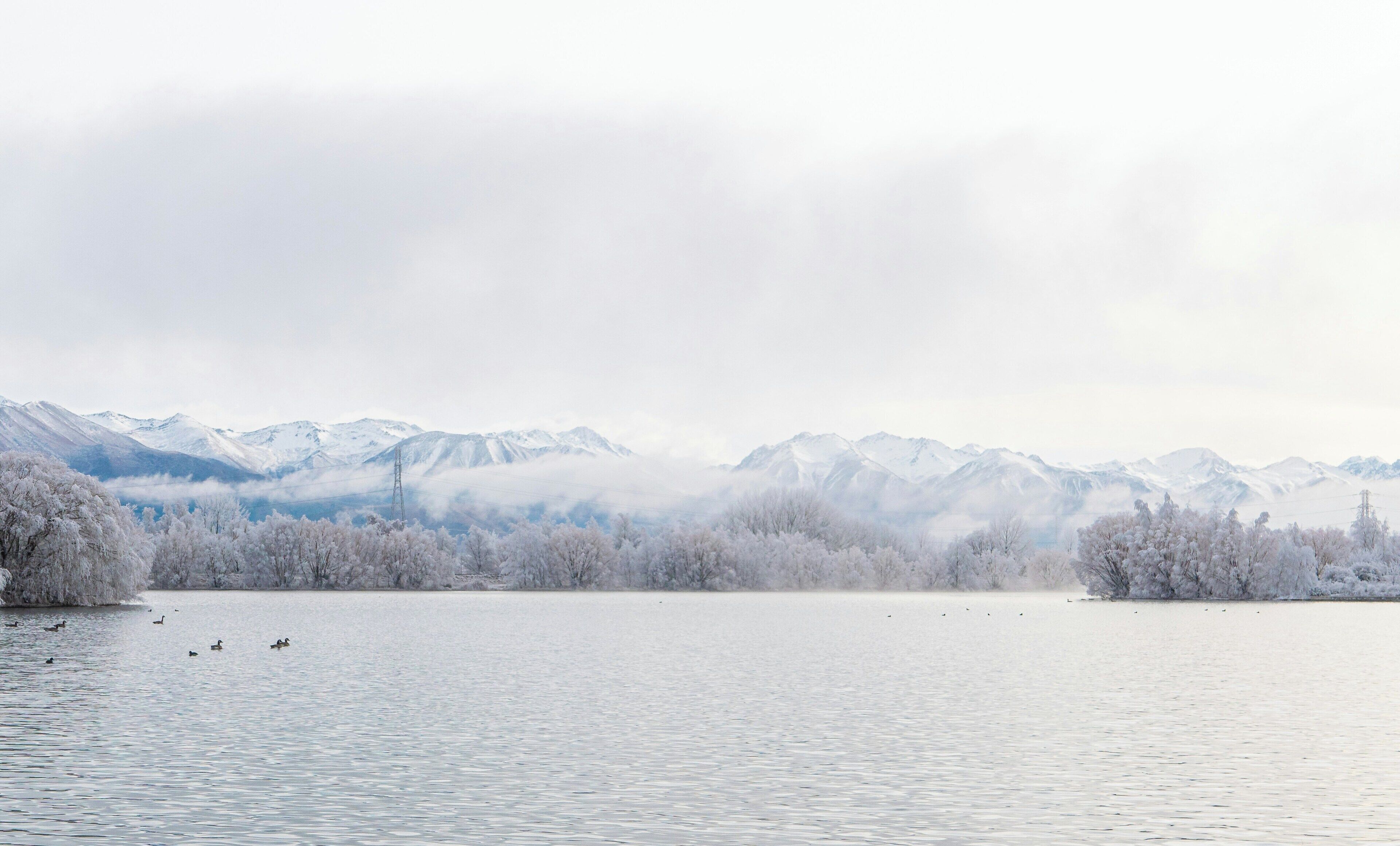 Un lac paisible, avec des montagnes enneigées en arrière-plan et quelques canards qui nagent.