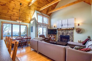 TV, fireplace, books
