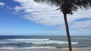 Una playa con una palmera y olas del océano.