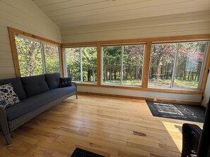 تلفزيون ذكي، مشغل دي في دي