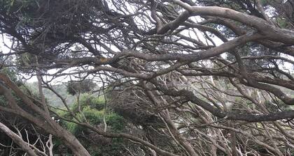 Longford Cottage delightfully large 1 Bedroom Apartment