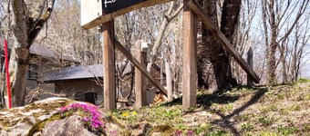 禁煙一棟貸し切り最大8名白馬山麓の森の中でBBQや焚火のできる新築ロッジ / 北安曇郡 長野県