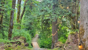 A forest path with a wooden bridge, surrounded by tall trees and ferns, and string lights hanging from the branches.