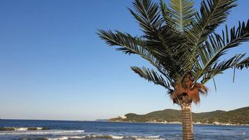 Una spiaggia nelle vicinanze