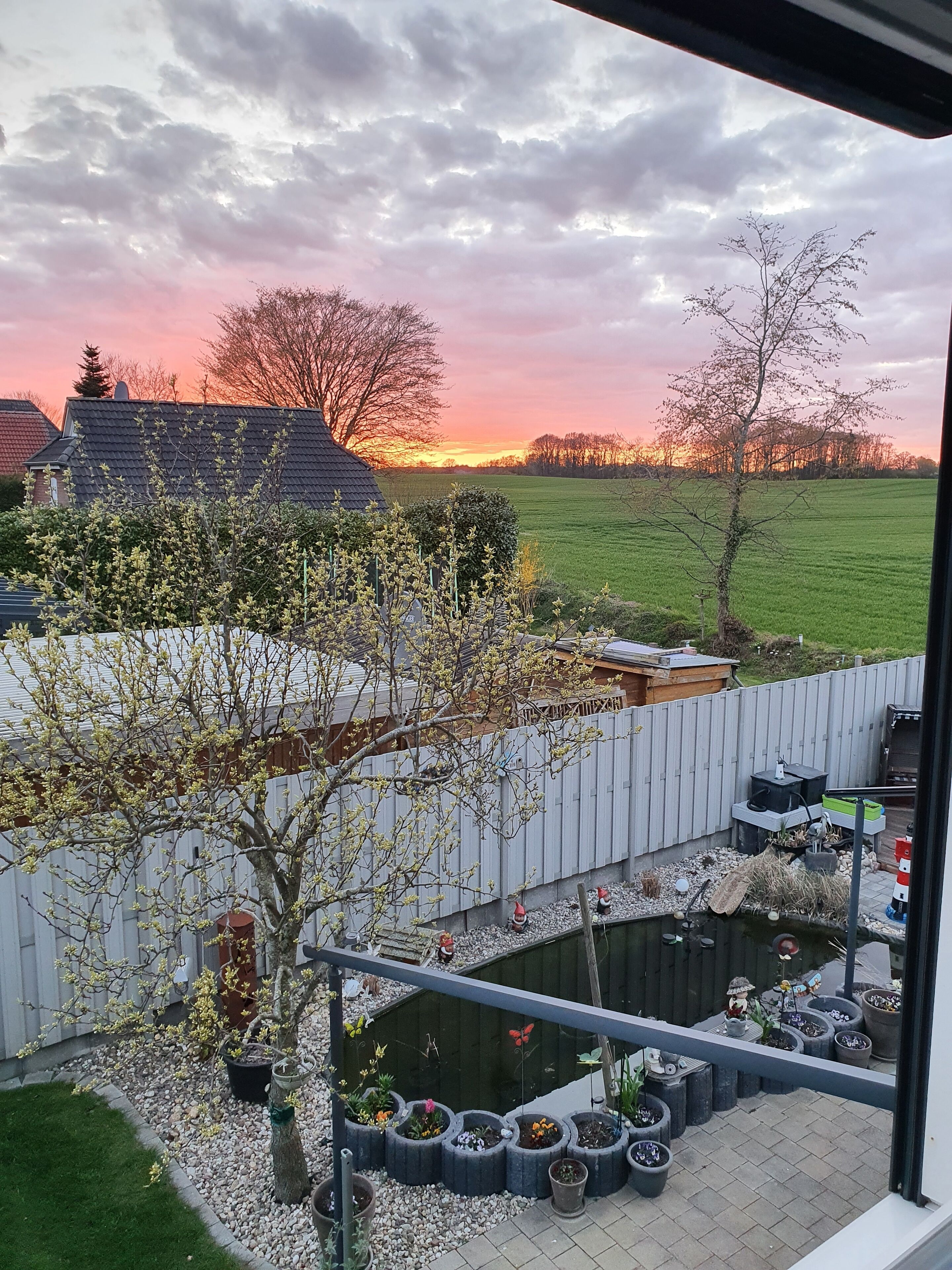 Vista desde la propiedad