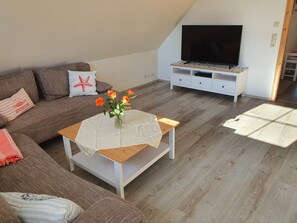 TV, DVD player, books