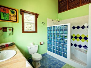 Shower, hair dryer, towels, soap
