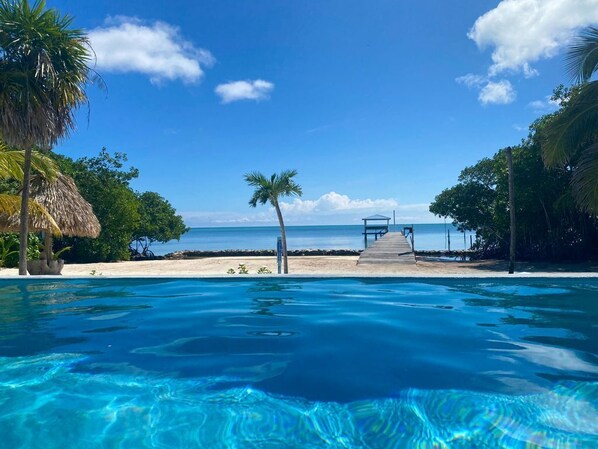 Outdoor pool - Gold Standard: Private Home, Infinity Pool on the Beach & Reef View (San Pedro Town)