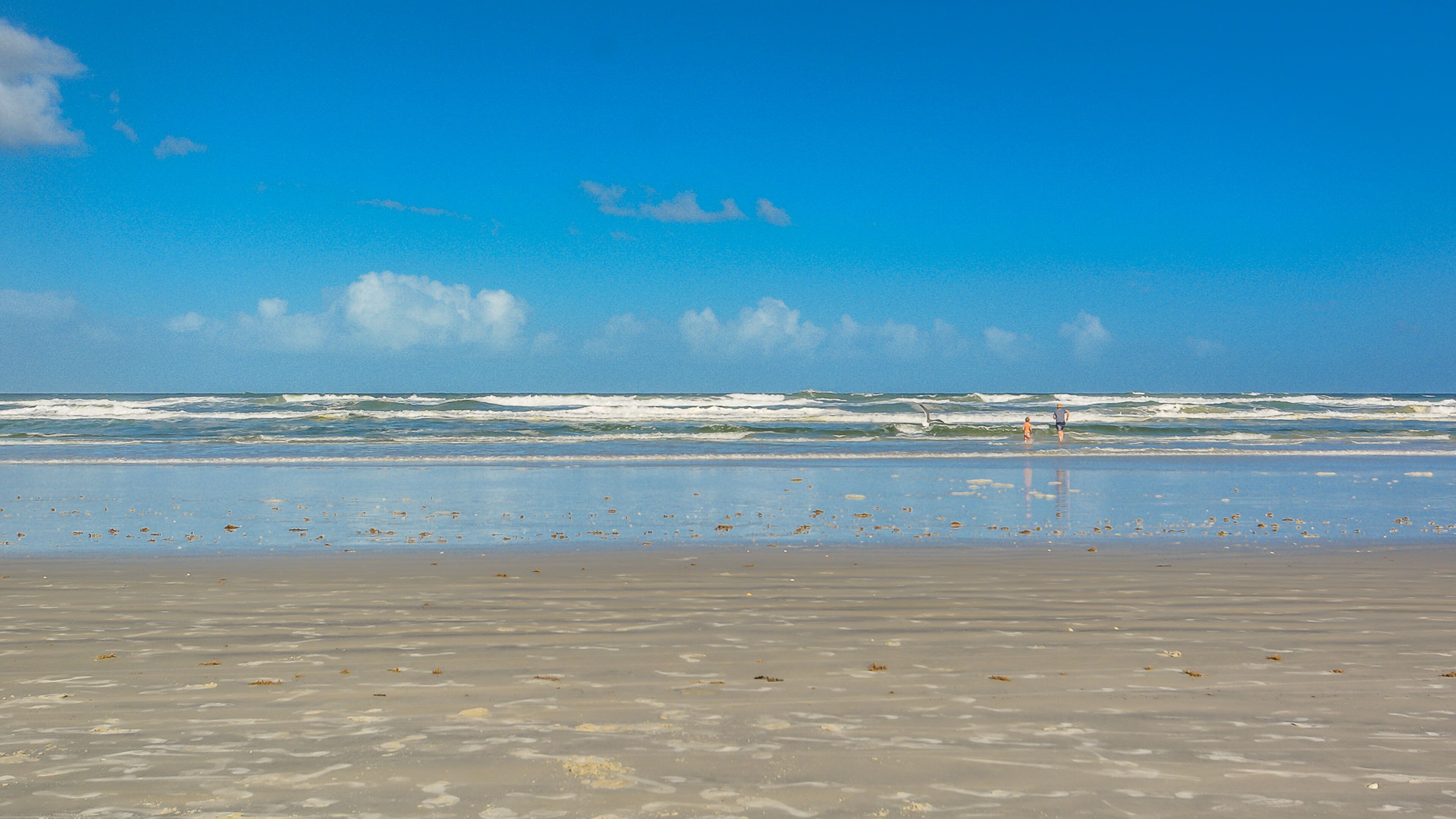 A beach with waves, a clear sky, and a few people in the distance.