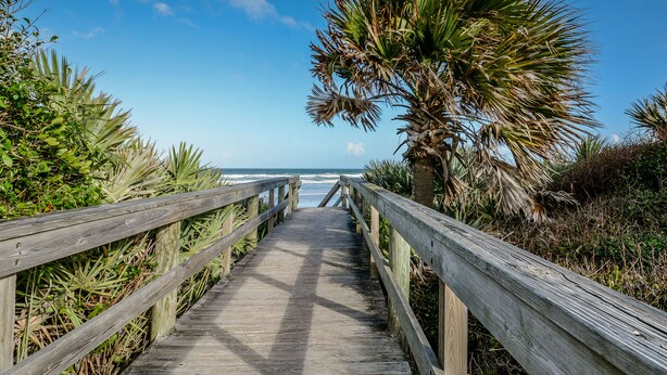 Un muelle de madera que conduce a una playa con palmeras y vistas al océano.