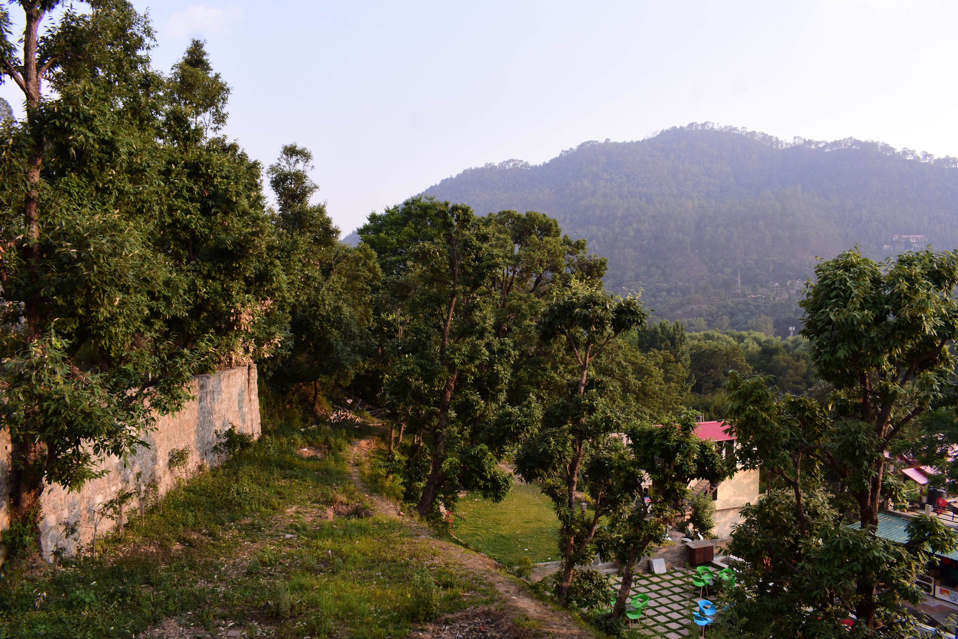 Un paisaje verde exuberante con un muro de piedra, árboles y una colina distante.