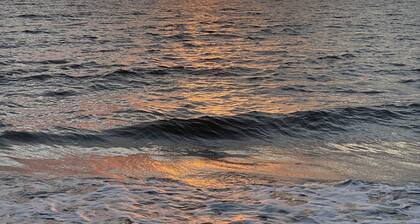 Beach Bums: Ultimate Coastal Retreat, Elevator