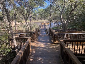 Walk along the scenic boardwalk through lush surroundings.