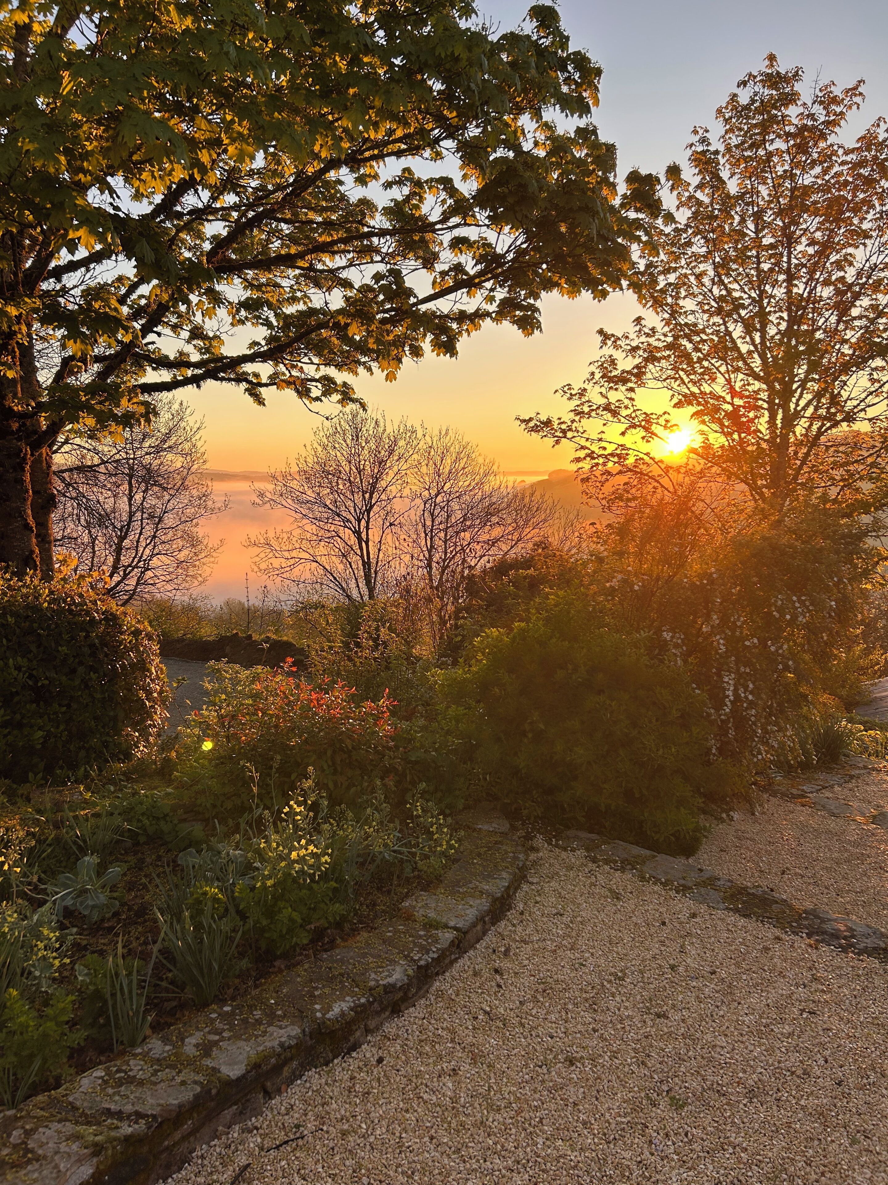 A gravel path leading through a garden with trees and shrubs, surrounded by a natural landscape.
