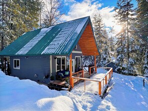 Uma cabana com telhado verde, deck de madeira e paisagem coberta de neve.