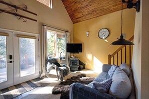 智能电视、壁炉、书、音乐库