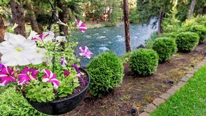 A hanging flower pot with white and purple flowers, a river, and neatly trimmed bushes in a garden setting.