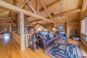 TV, fireplace, DVD player, books