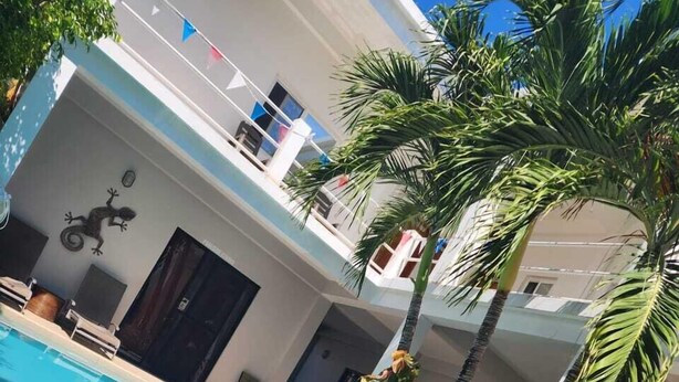 Une piscine avec un palmier et des plantes en pot à proximité.