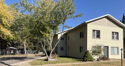Downtown Apartment Three Lakes