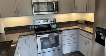 Downtown Apartment Three Lakes