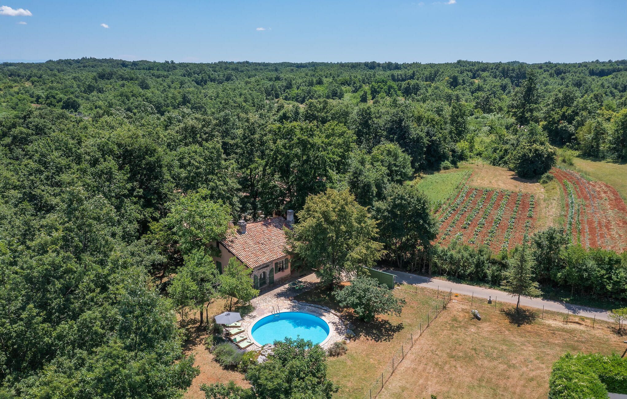 An aerial view of a property with a swimming pool, a house, and a vineyard.