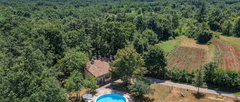 An aerial view of a property with a swimming pool, a house, and a vineyard.