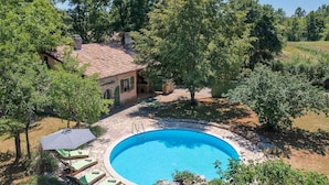 A villa with a swimming pool surrounded by trees and a stone patio. - Gorgeous home in Pazin (Pazin)