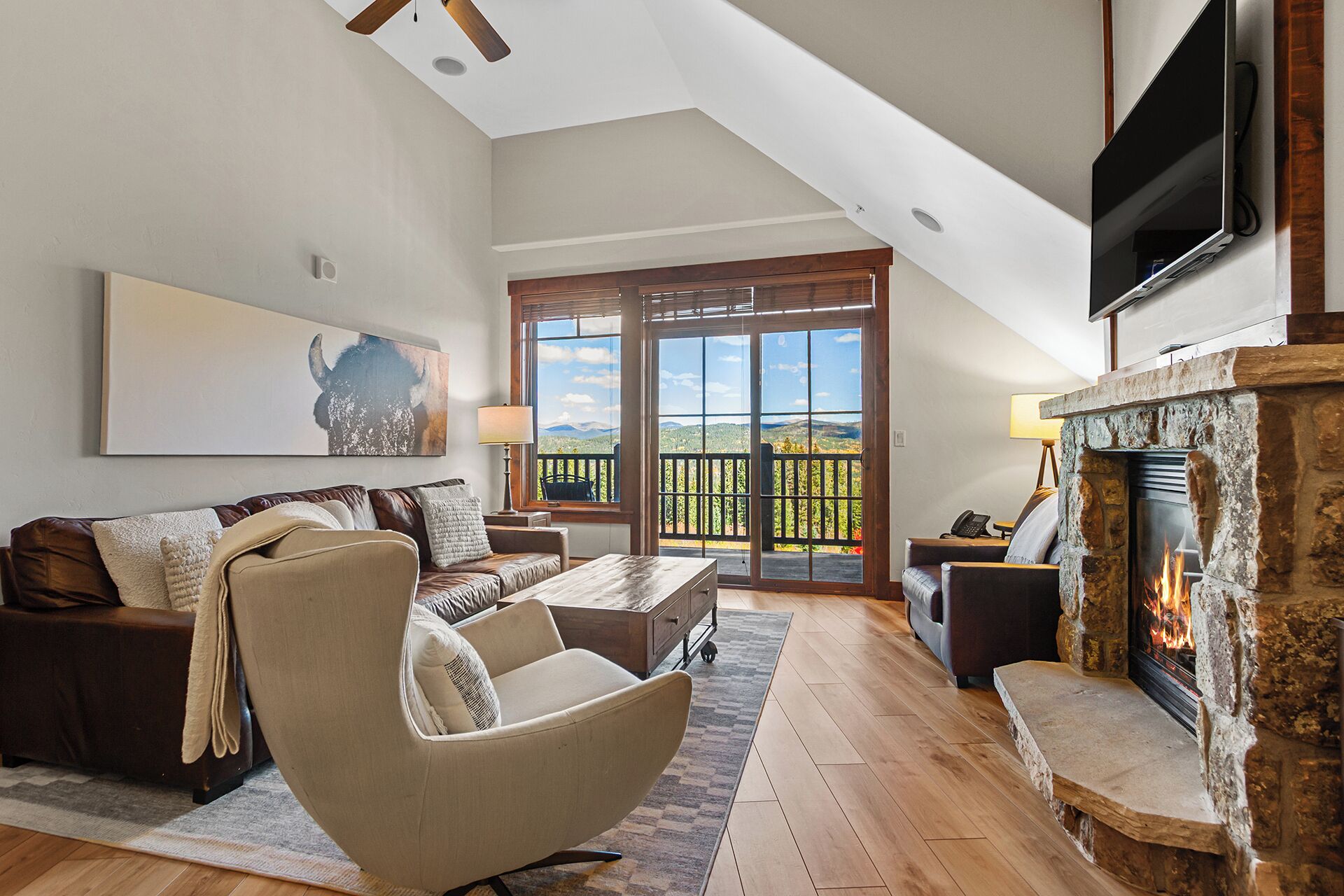 Smart TV, fireplace, stereo