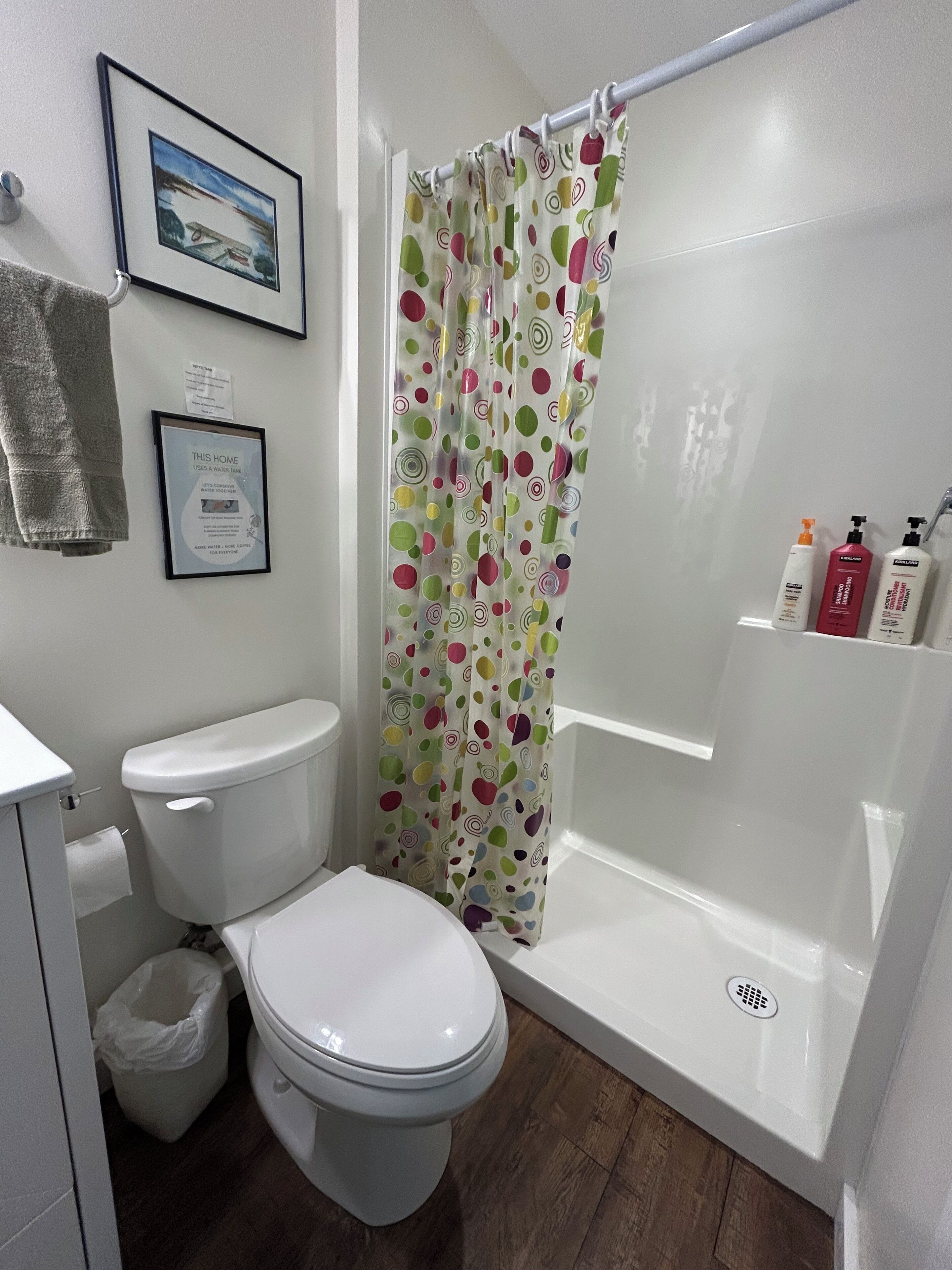 A bathroom with a toilet, shower, and a framed picture on the wall.