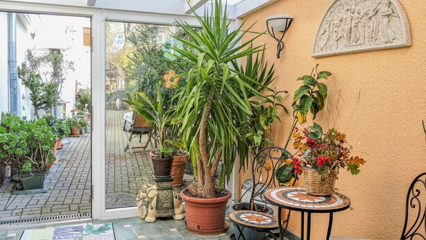 Un espace patio agréable, agrémenté de plantes en pot, d’une petite table et d’une chaise.