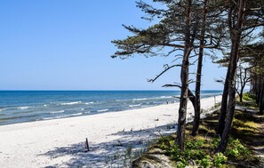 Ein Strand mit weißem Sand, klarem, blauem Wasser und hohen Kiefern.