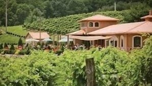 A vineyard with buildings and a fence. - Base Camp at Hawks nest. Near many mountain activities! (Seven Devils)