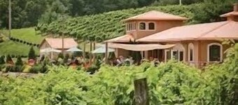 Base Camp at Hawks nest. Near many mountain activities!