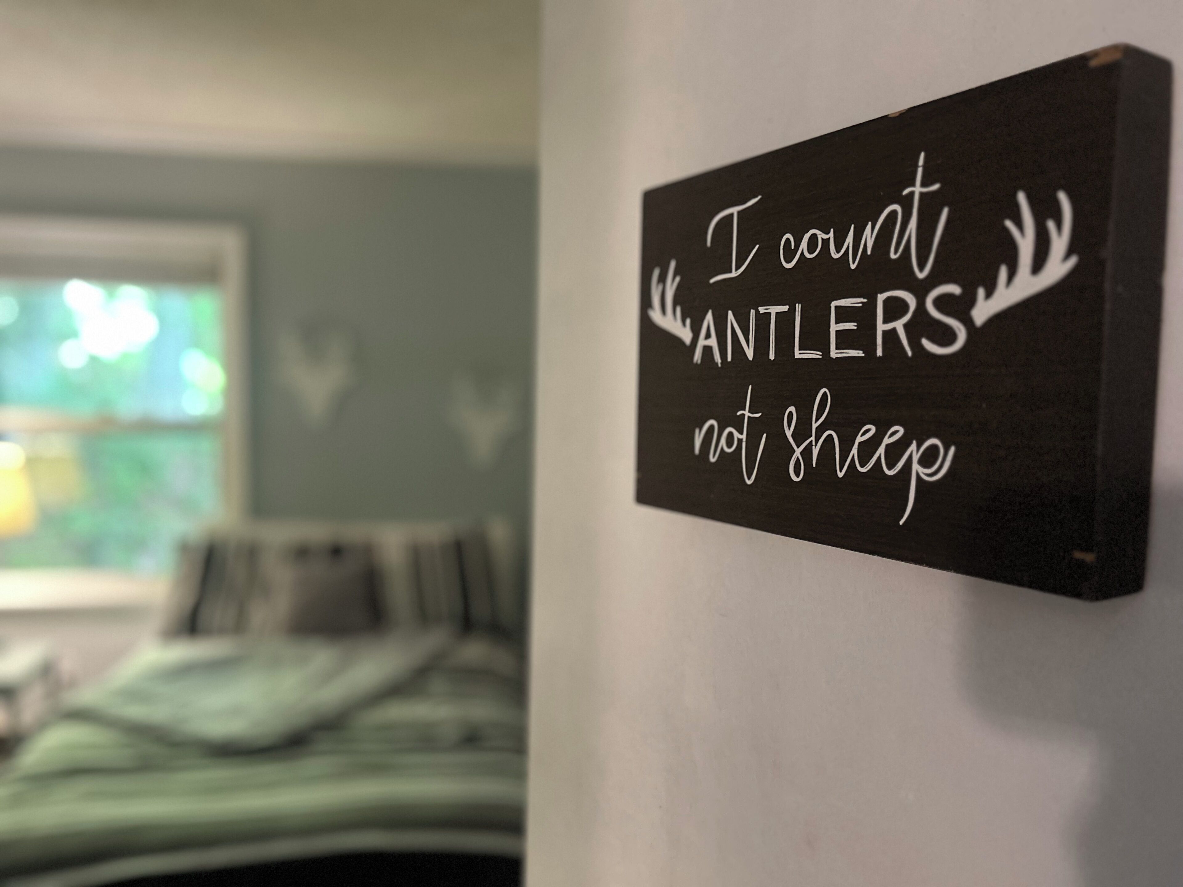 Et skilt med teksten 'I count antlers not sheep' på en væg.