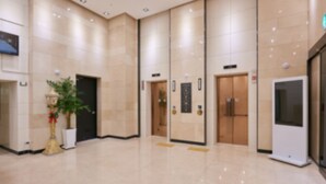 Een ruime lobby met een grote potplant, een wandlamp en een moderne lift.