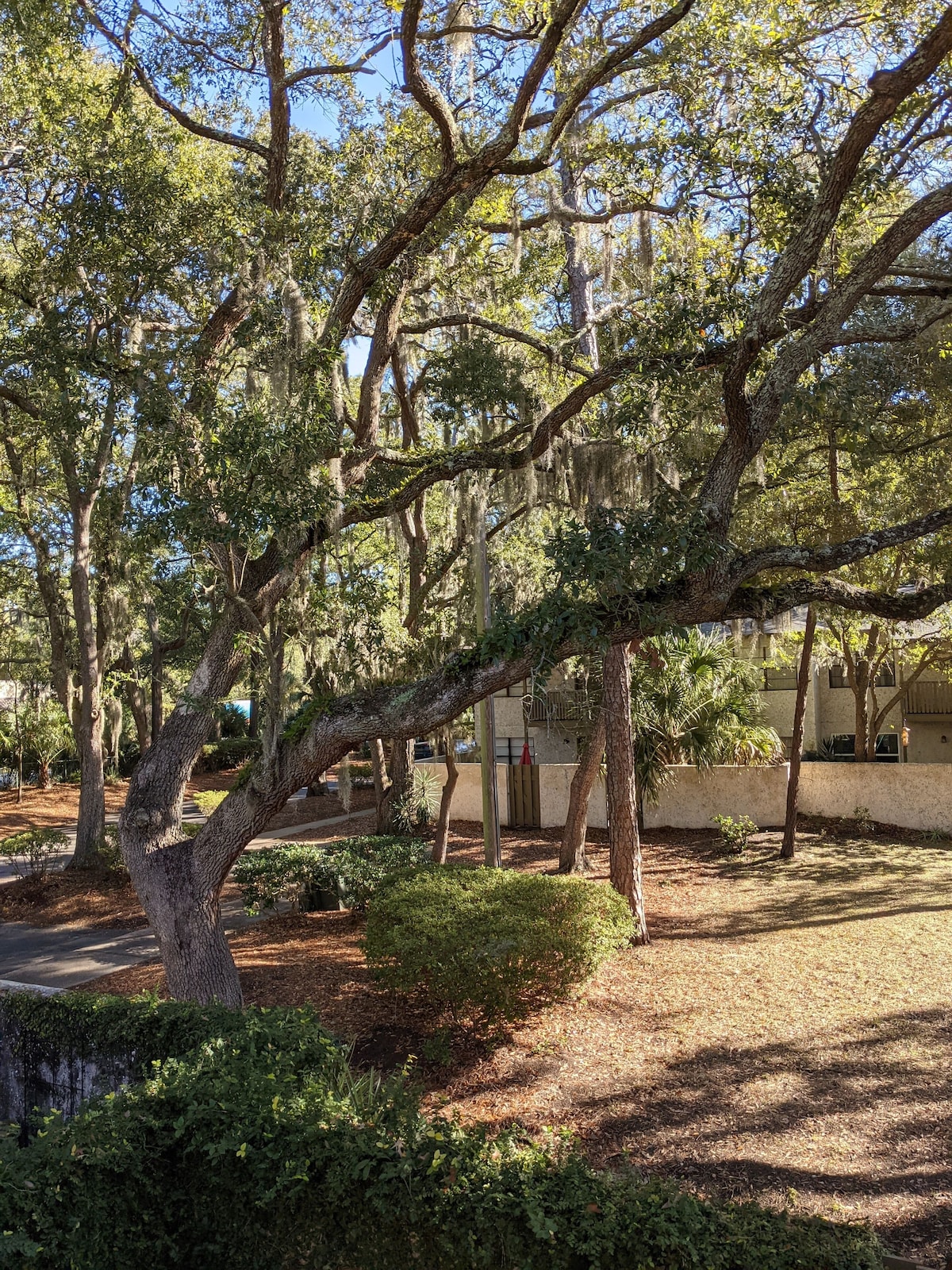 Casa Gabriela no pet fees