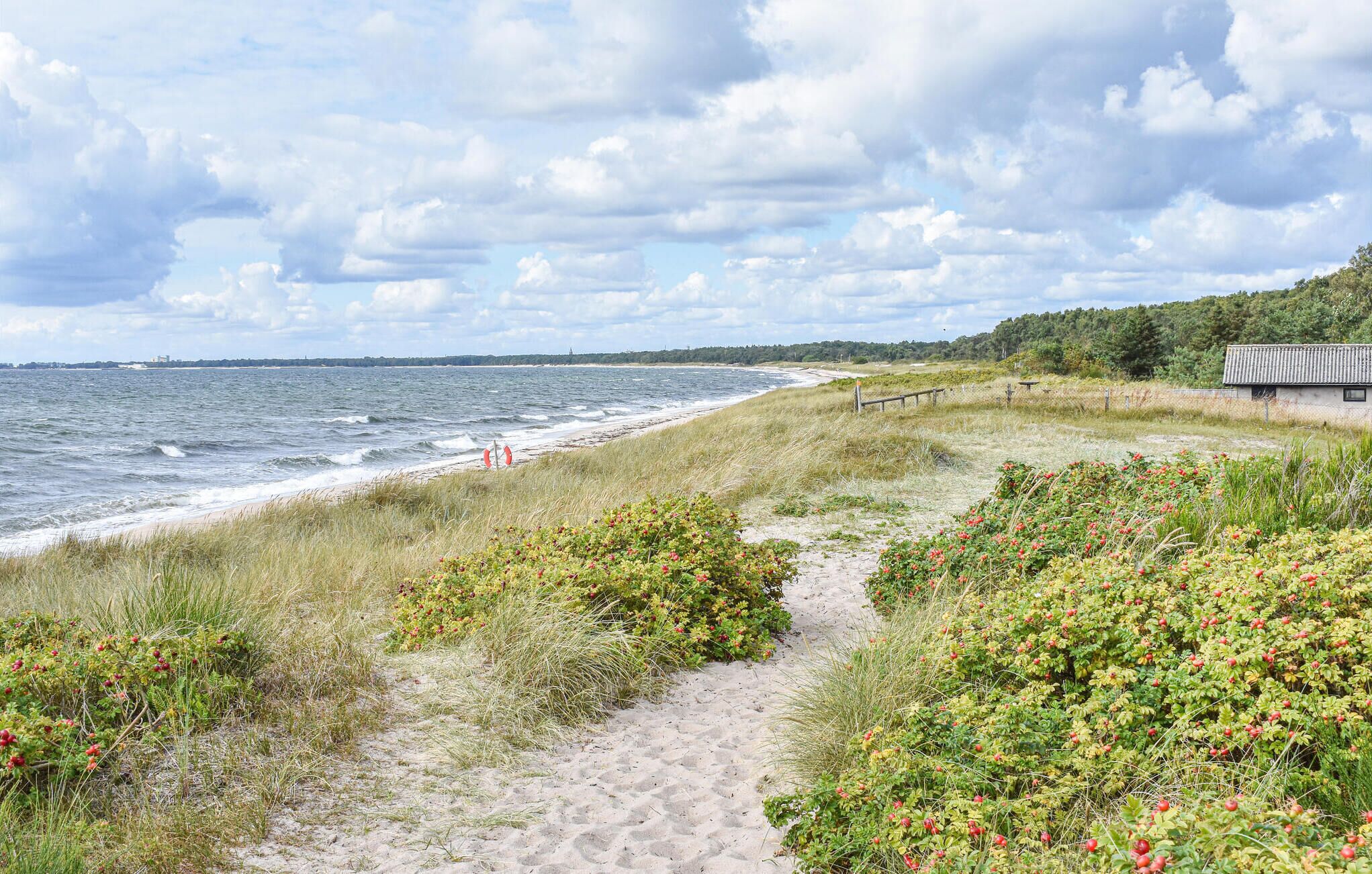 Nära stranden och fiske