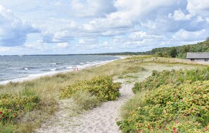 Beach nearby, fishing