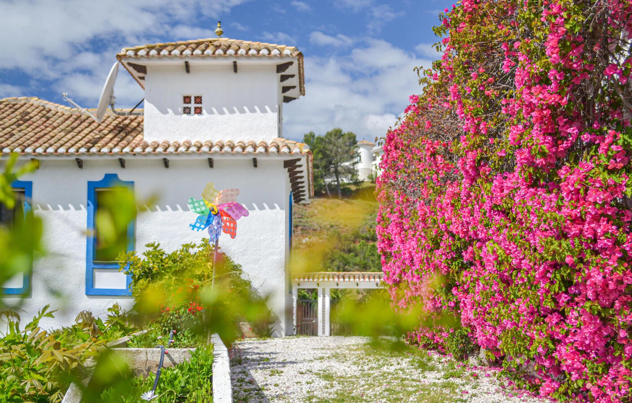 Terrein van de accommodatie