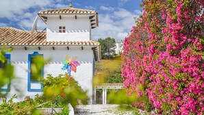 A white building with blue window frames and a colorful mural. - Cozy home in Mijas Pueblo with private swimming pool, can be inside or outside (Mijas Pueblo)